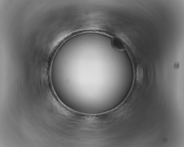 X0000113071452200909110929