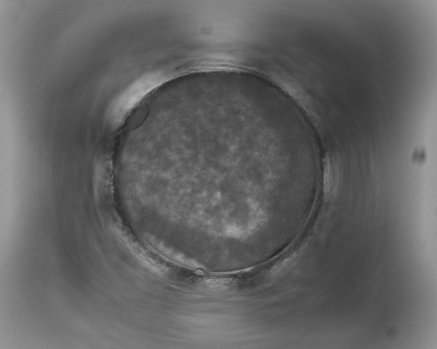 X0000113071453200909110929