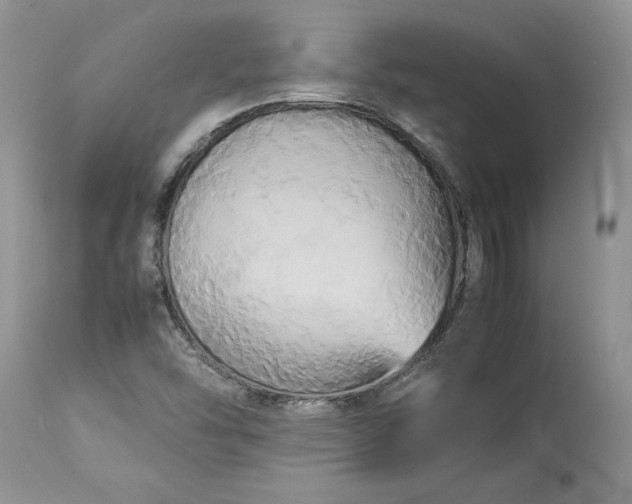 X0000113071454200909110929