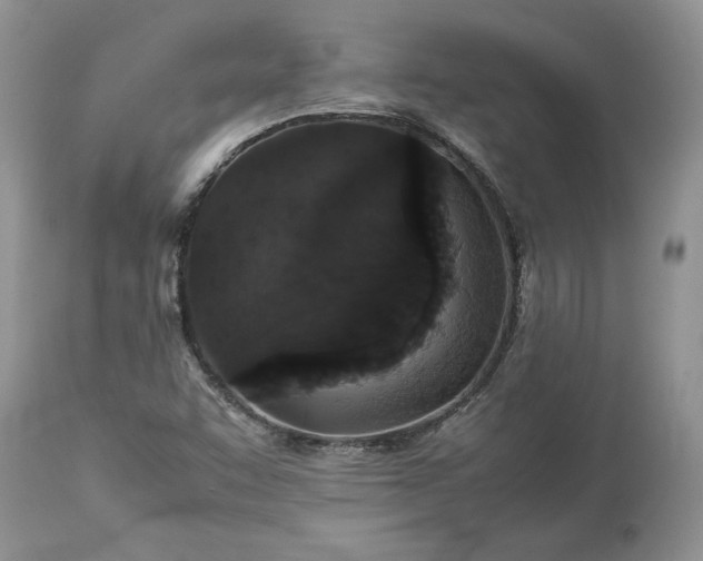 X0000113071455200909110929