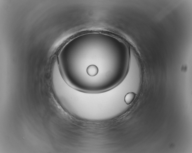 X0000113071456200909110928