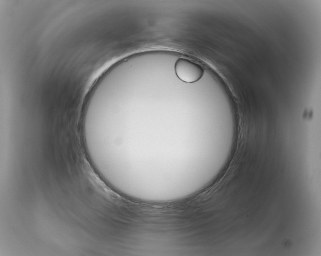 X0000113071460200909110928