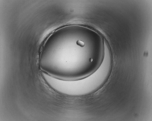 X0000113071461200909110928