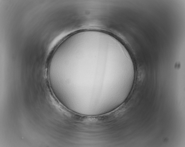 X0000113071462200909110928