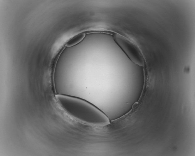 X0000113071464200909110928