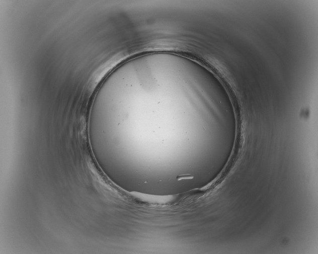 X0000113071465200909110928