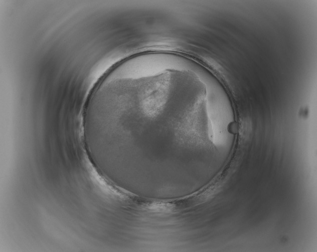 X0000113071466200909110928