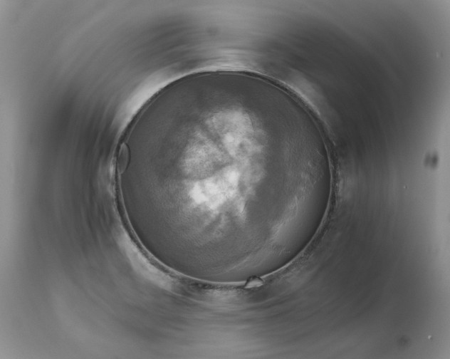 X0000113071468200909110928