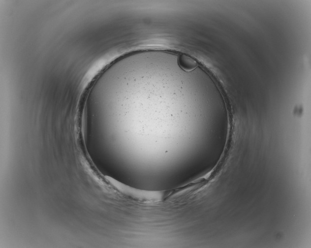 X0000113071469200909110928