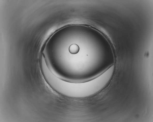 X0000113071472200909110928