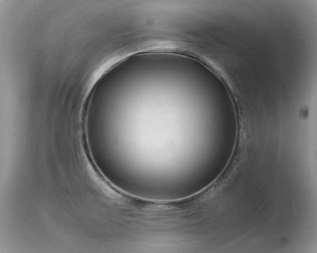 X0000113071475200909110928