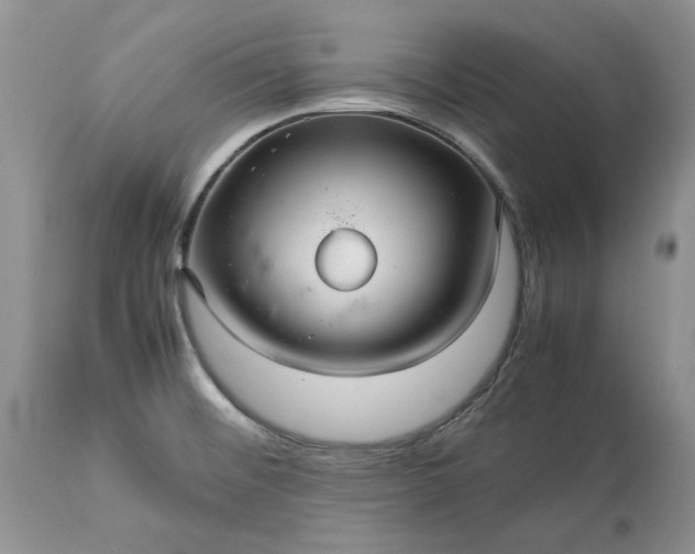 X0000113071476200909110928