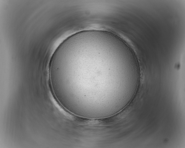 X0000113071479200909110928