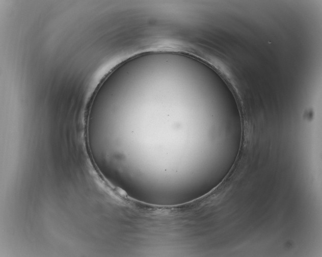 X0000113071480200909110928