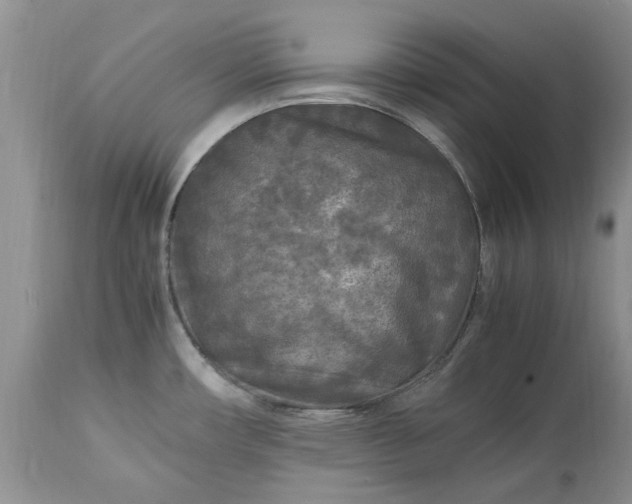 X0000113071482200909110928