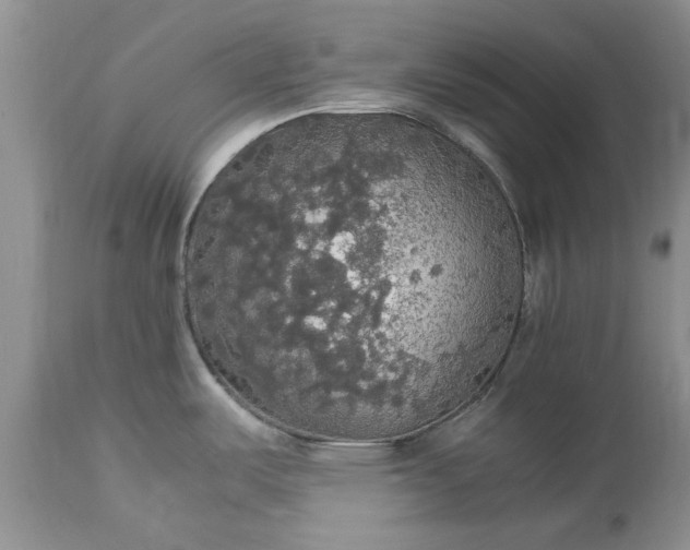 X0000113071487200909110928