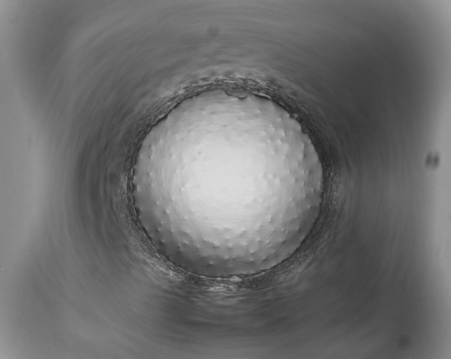 X0000113071489200909110927