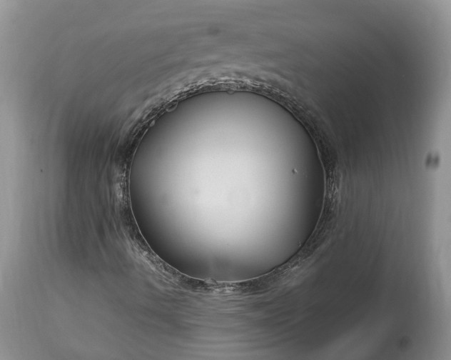 X0000113071490200909110927