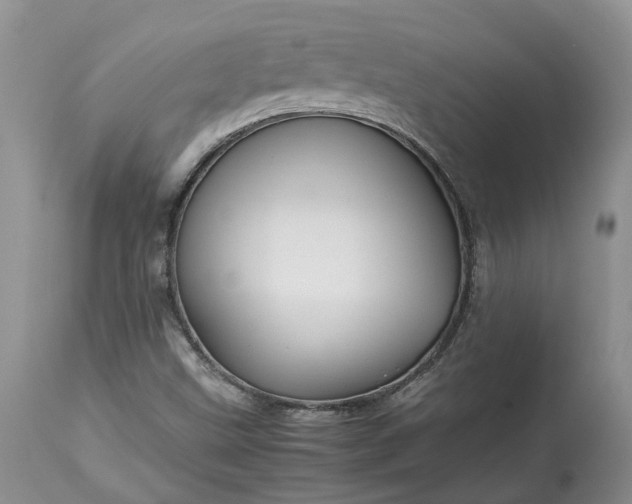 X0000113071499200909110928