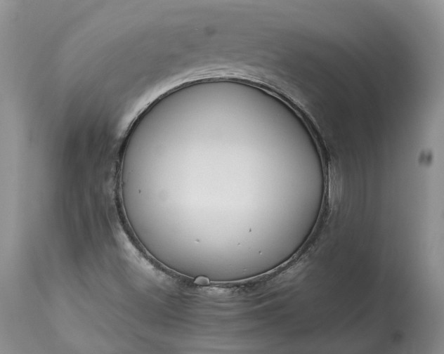 X0000113071500200909110928