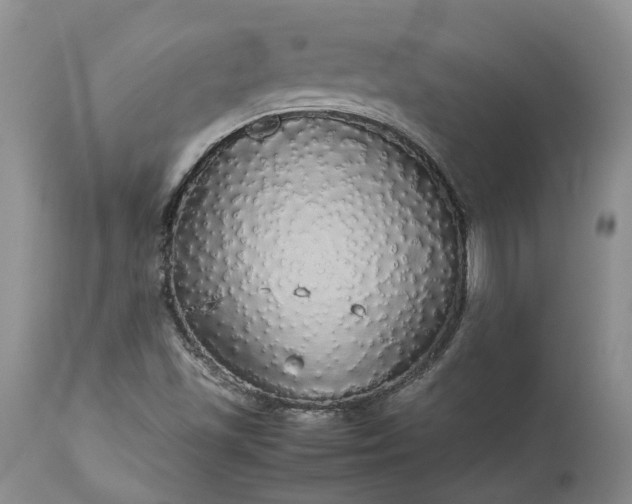 X0000113071501200909110928