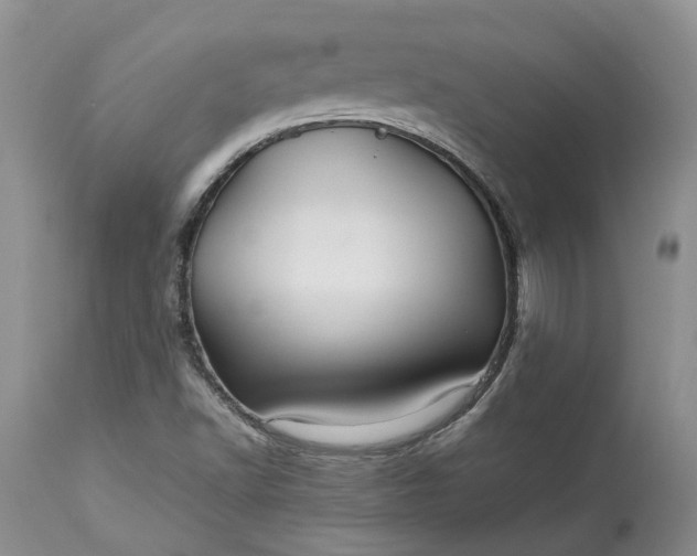 X0000113071502200909110928