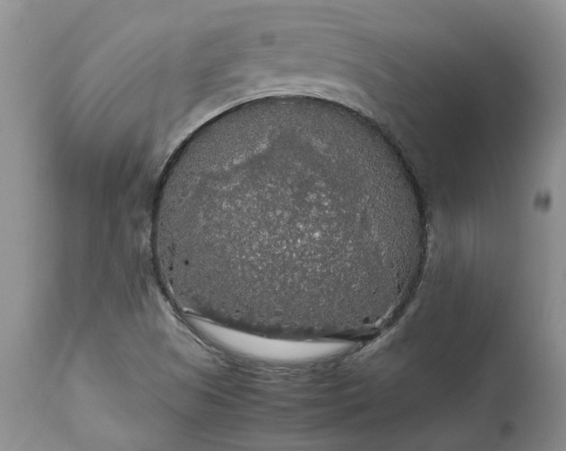 X0000113071505200909110928