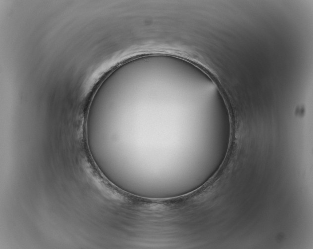 X0000113071507200909110928