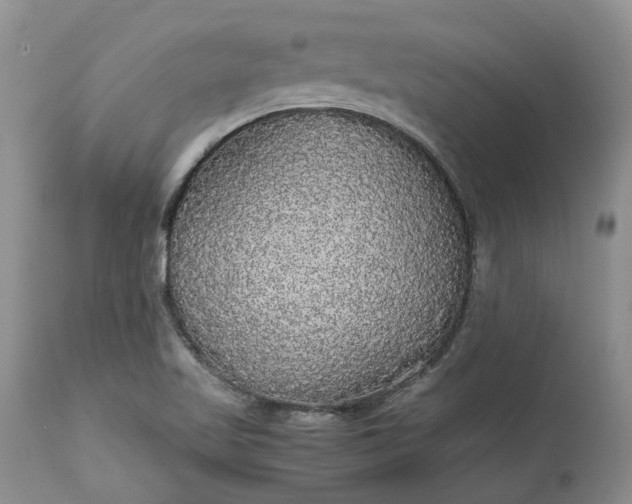 X0000113071509200909110928