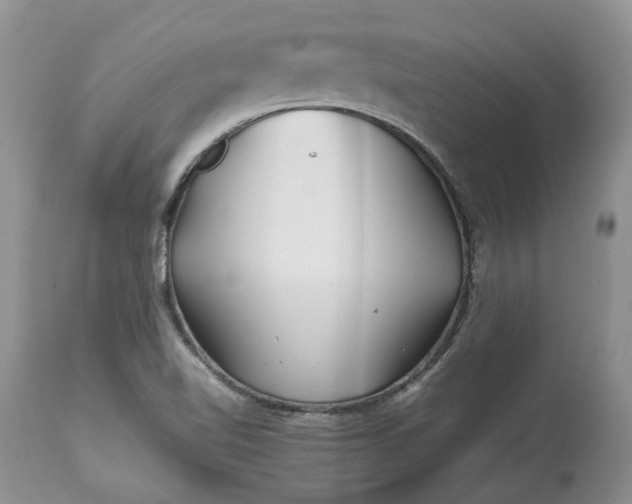 X0000113071510200909110928