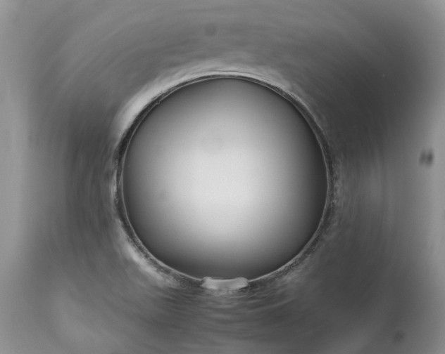 X0000113071511200909110928