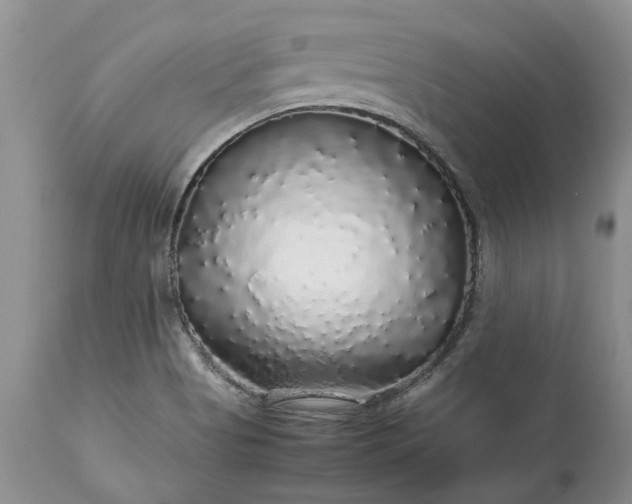 X0000113071513200909110928