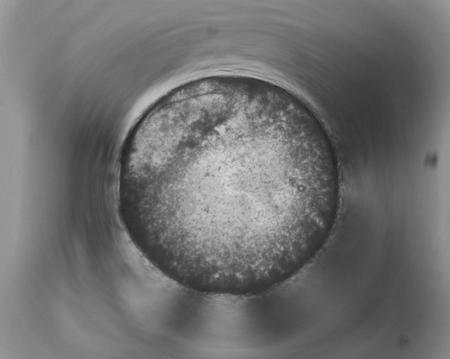 X0000113071514200909110928