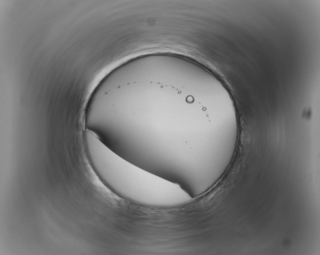 X0000113071516200909110928