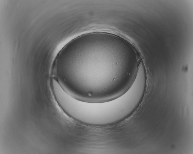 X0000113071520200909110928