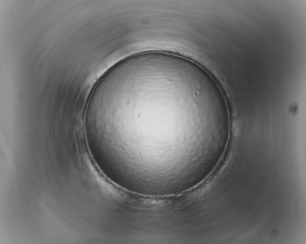 X0000113071521200909110928