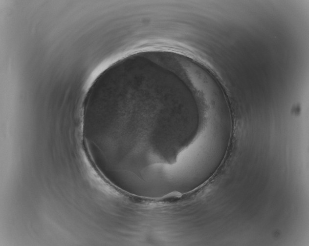 X0000113071522200909110928