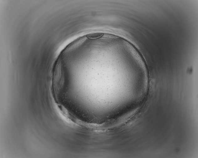 X0000113071523200909110928