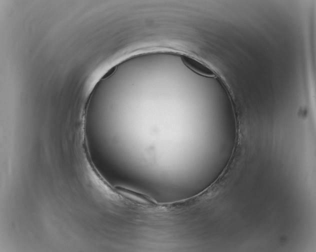 X0000113071524200909110928