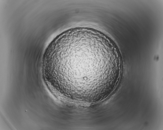 X0000113071525200909110928