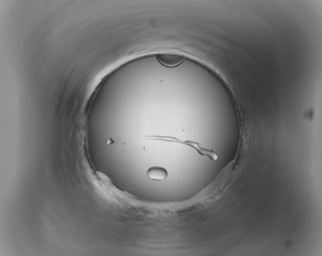 X0000113071526200909110928