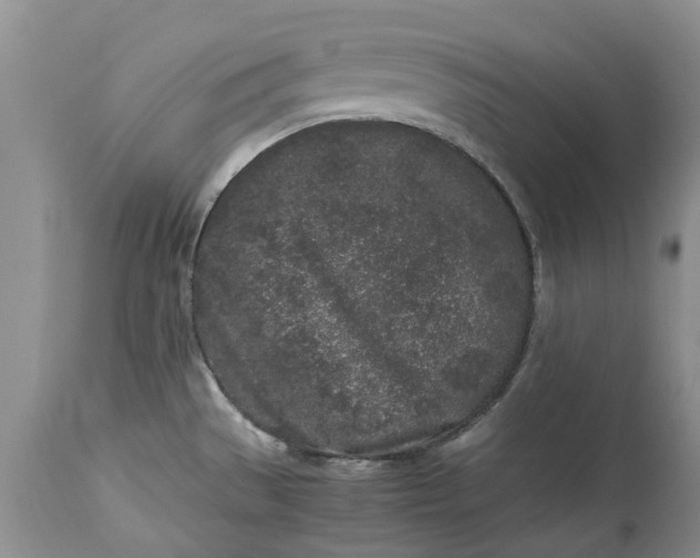 X0000113071529200909110928