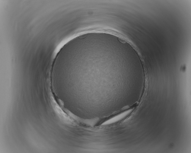 X0000113071530200909110928