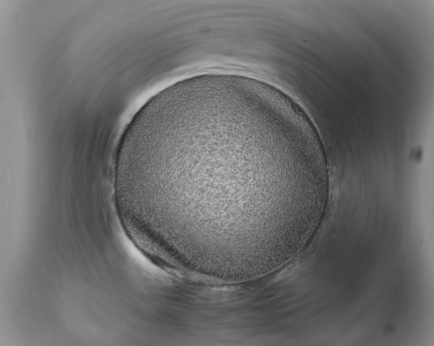 X0000113071531200909110928