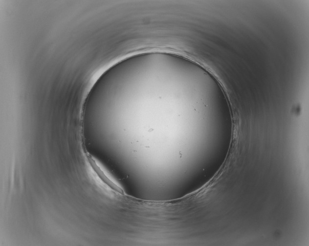 X0000113071532200909110928