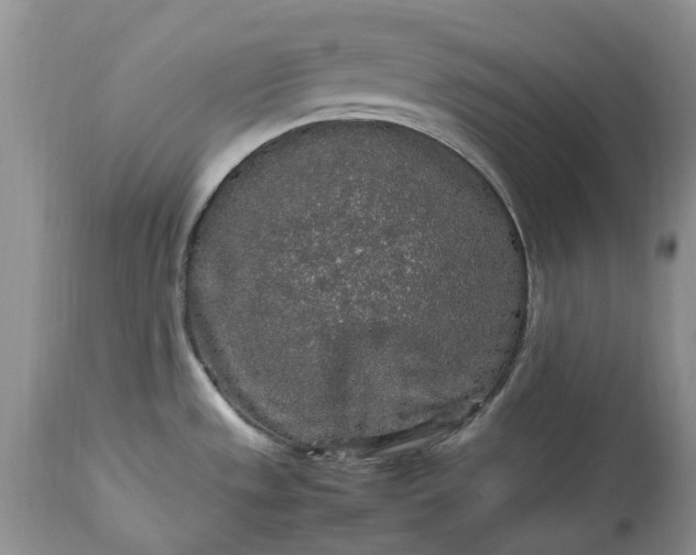 X0000113071533200909110928