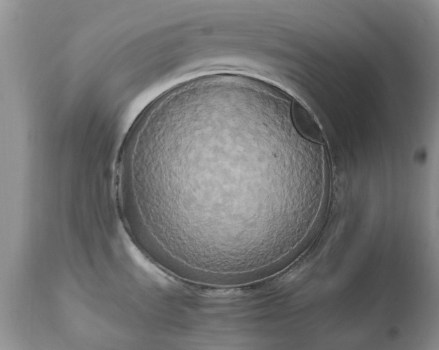 X0000113071535200909110928