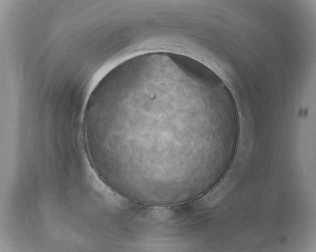 X0000113071536200909110928