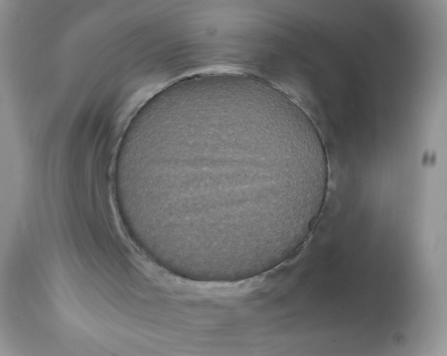 X0000113070001200909182036