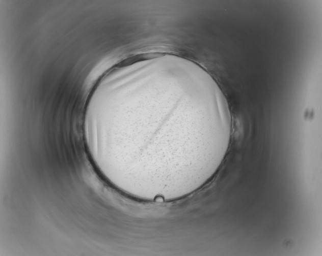 X0000113070004200909182036
